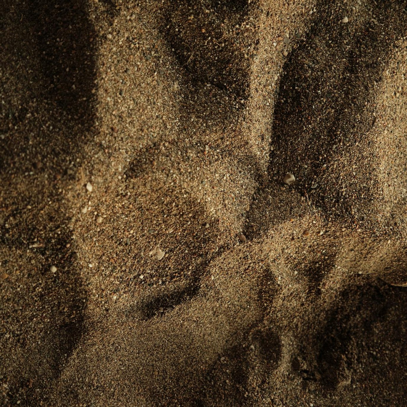 Soil